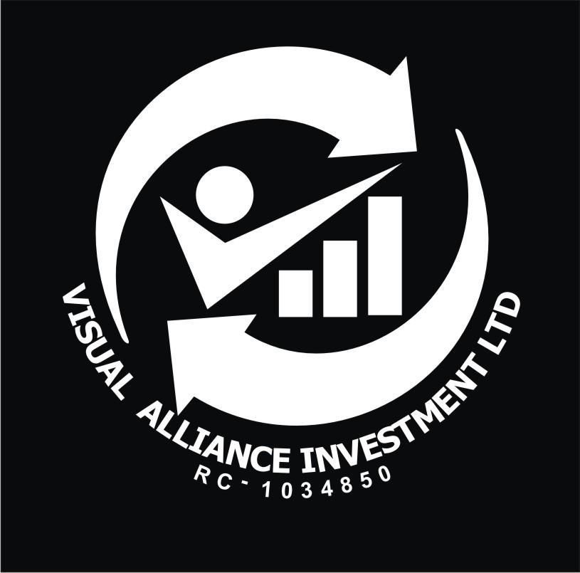 Visual Alliance Investment Limited